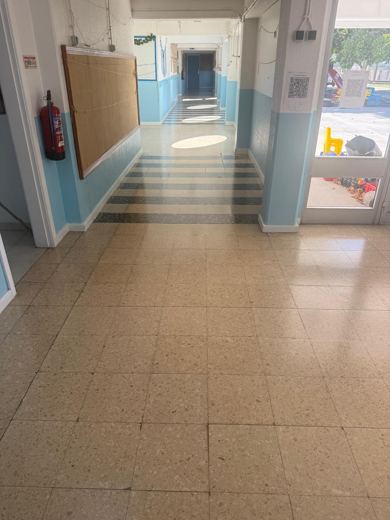Trabalho de limpeza da GeoLimpa
